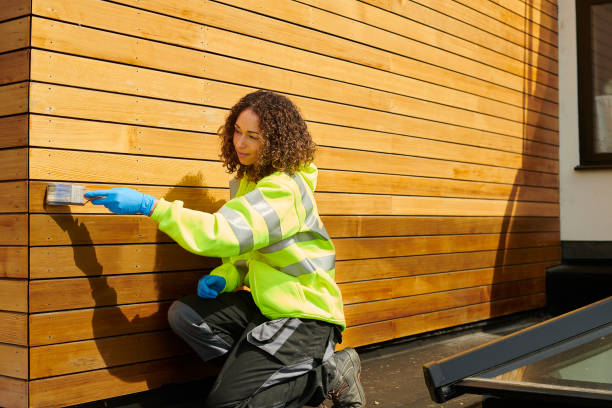 Best Custom Trim and Detailing for Siding  in Delta, CO